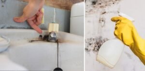 Wie man das Badezimmer schimmelfrei hält m19 2
