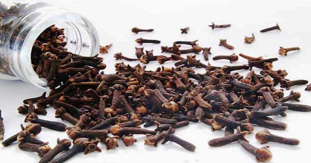 Clou de girofle pour la femme 1