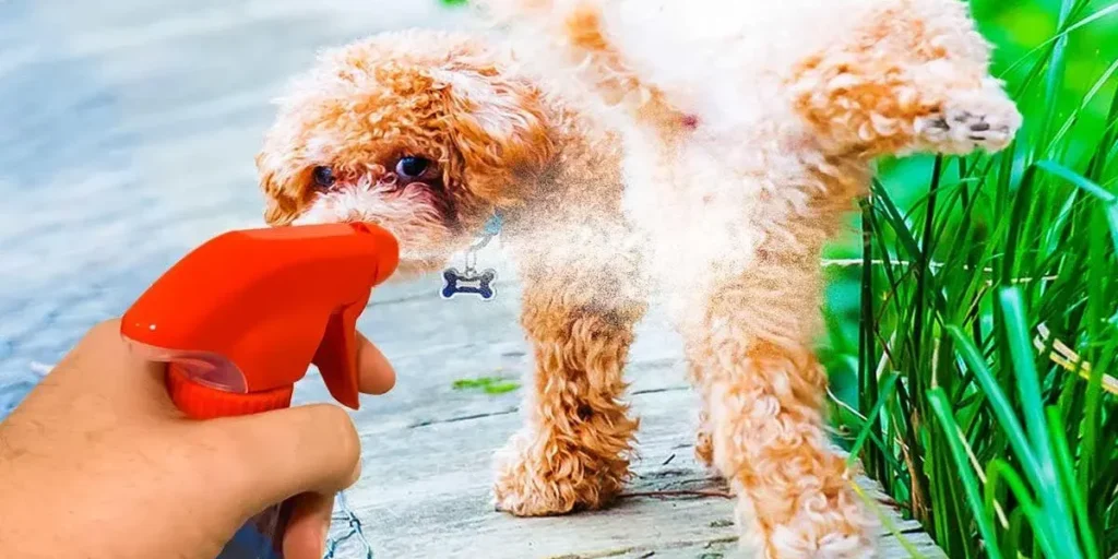 La recette du repulsif naturel pour empecher les chiens duriner devant votre maison final 1200x628 1 1200x600 1