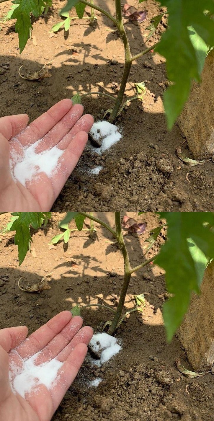 18c546da 8df8 42e9 881c 9087a31406db