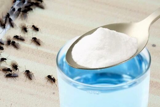 344721051 514083660933608 5941319157554779477 n