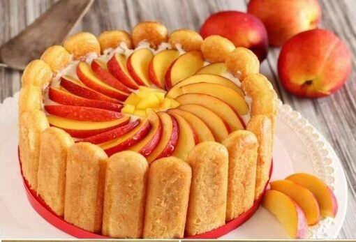 344724024 188586460738292 6584293485152887290 n