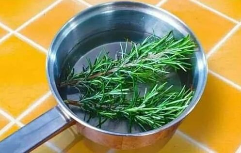 345579039 569514578501056 3746522531274080569 n