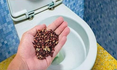 347421202 1790375298092452 1481318218502472829 n