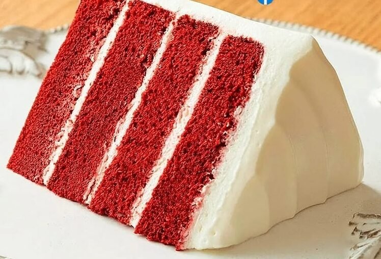 351333623 994948621516250 6262476477322939467 n