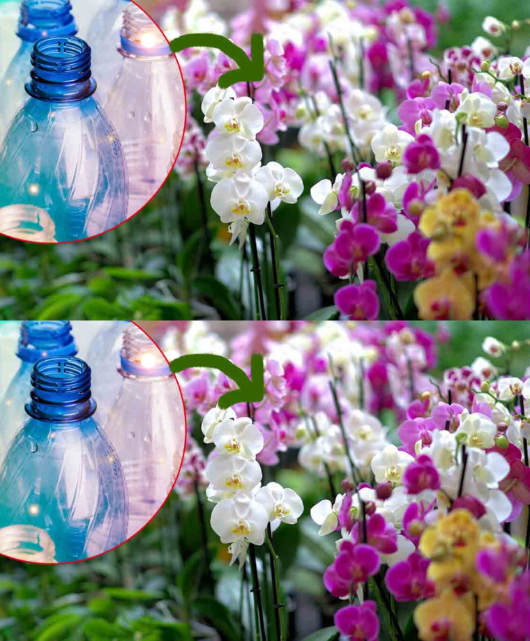 53dd6da3 6661 47e0 aee4 54bfd641e618