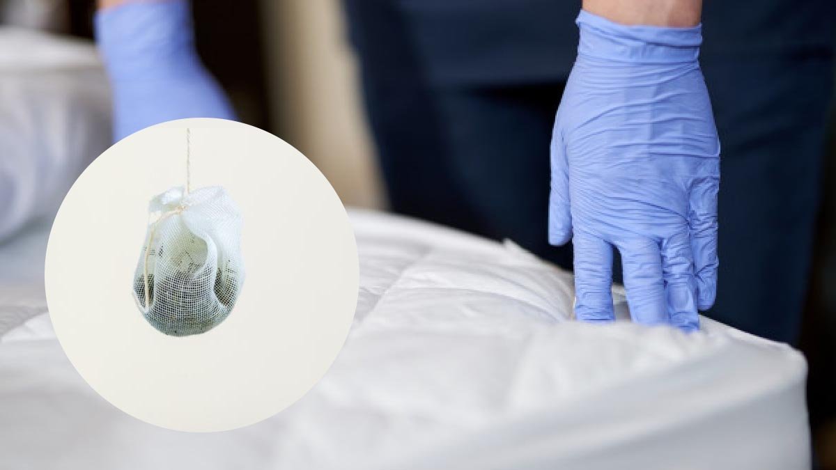 le moment est venu pour rafraichir votre matelas apres cette operation il sera pret pour lhiver