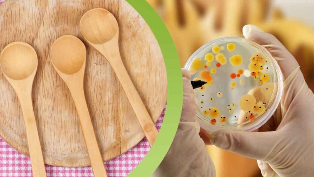 les louches en bois sont des nids a bacteries ne les nettoyez pas avec un detergent mais utilisez cette methode infaillible pour les eliminer pour de bon