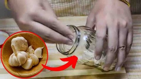 5 ways to peel garlic fast 480x270 1