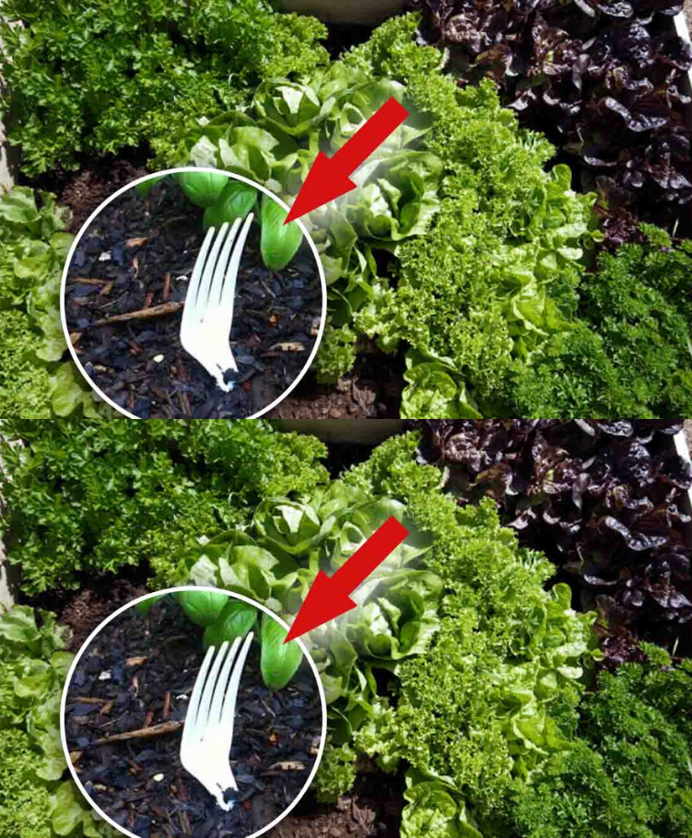 7e78dbc1 7f98 4611 aca6 7e9009b38a6a