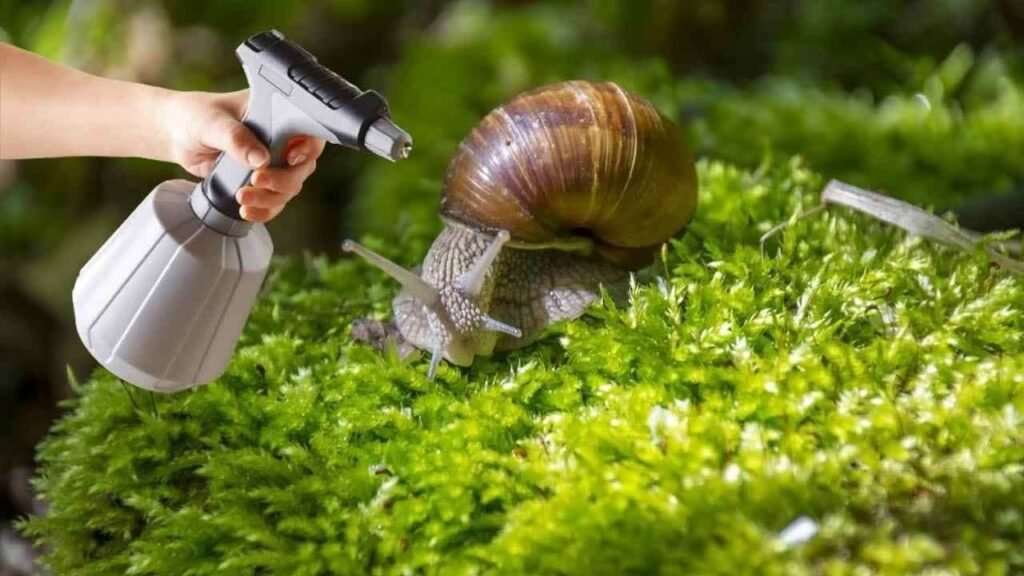 Come sbarazzarsi dei parassiti