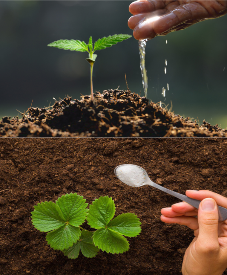 Design sans titre 32