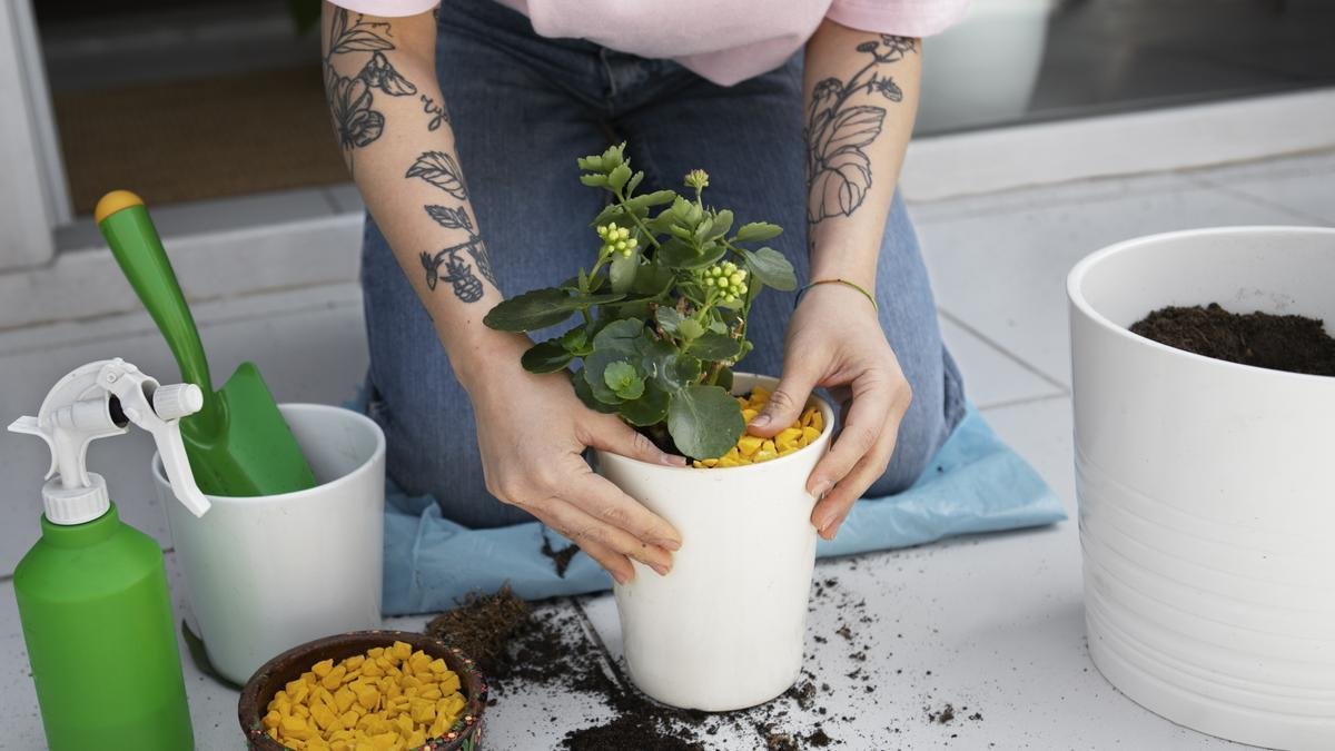 b636b20f 1c90 42e4 aec9 0f2e3060238d 16 9 discover aspect ratio default 0