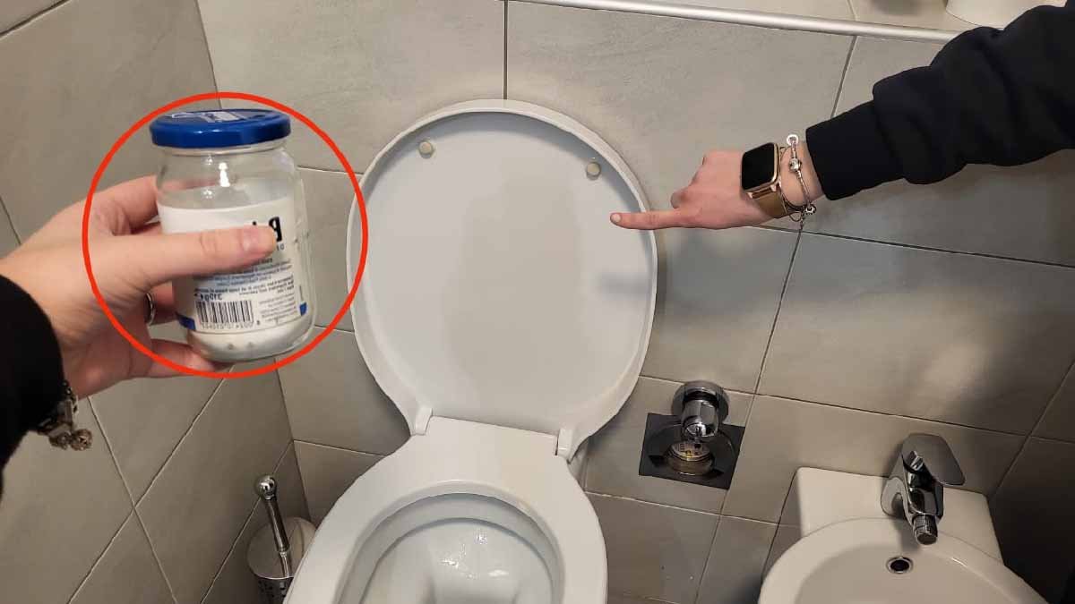 cette partie des toilettes est un repaire a bacteries mais personne ne pense jamais a la nettoyer