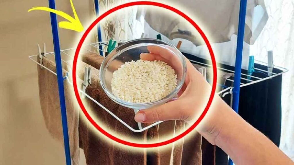 comment neutraliser lhumidite interieure lorsque vous suspendez les vetements a la maison