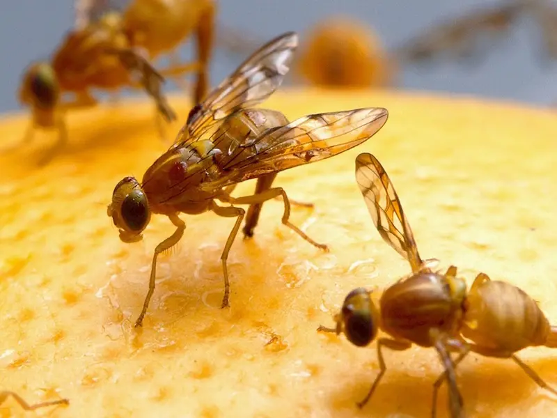 main original 5b8ee1512246f 282536 1