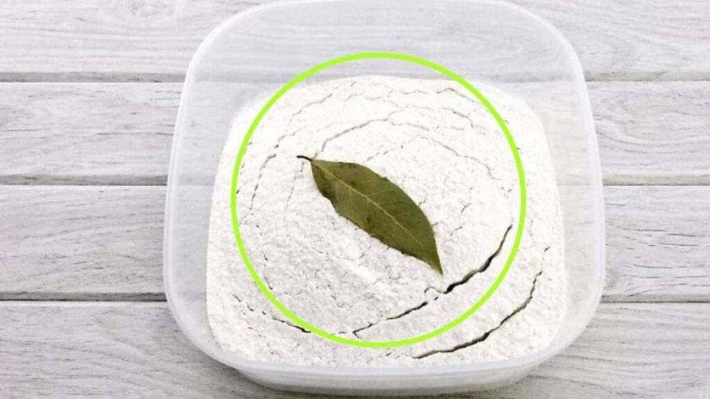 mettre du laurier dans la farine pourquoi lutiliser ainsi