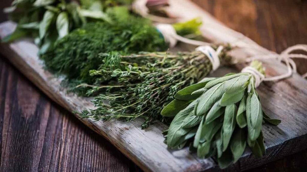 nos trucs super simples pour conserver vos herbes fraiches plus longtemps 1024x576 1