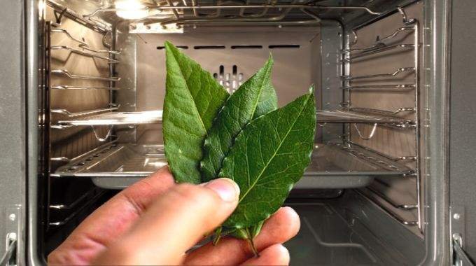 pourquoi est ce ingenieux de mettre des feuilles de laurier dans votre four en hiver