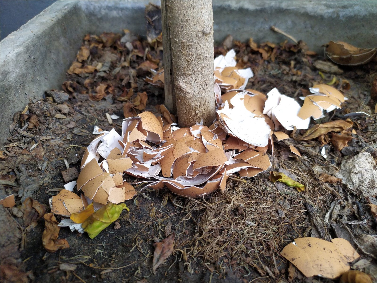 shutterstock 1767241961 2048x1536 1