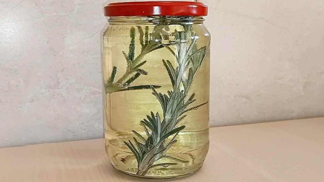 Rosmarino in barattolo con vino bianco