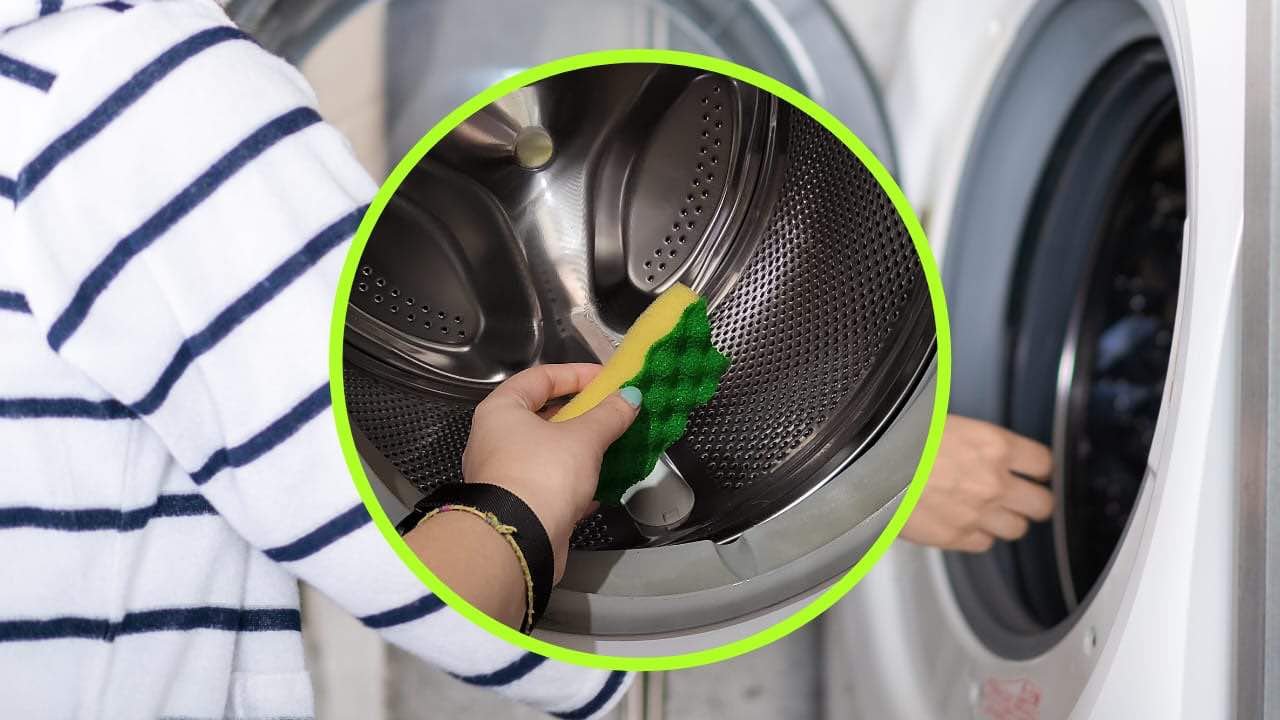 Spugna nella lavatrice