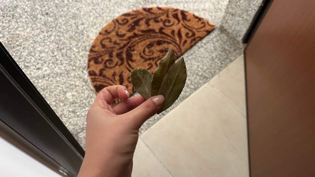 Alloro uscio di casa