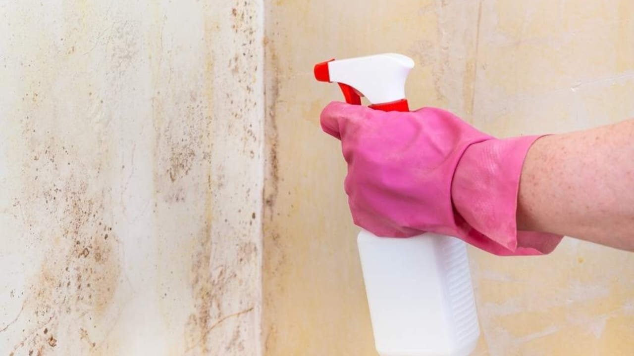 Spruzza questo sui muri