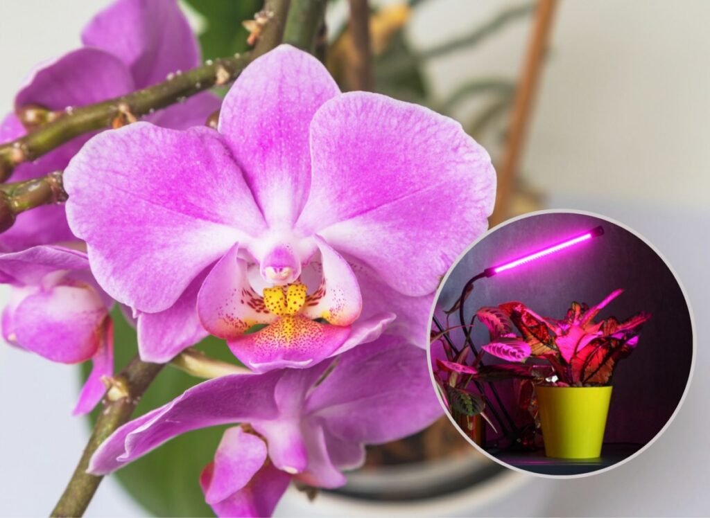 05ab7d96767288af86240f48903b2f26 7fc7795ab794b668372c2581de796eb6 1200x876 1