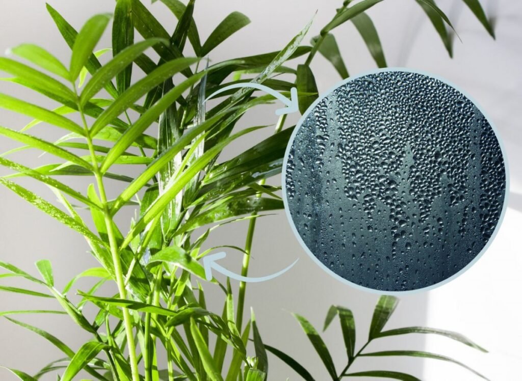 18e2999891374a475d0687ca9f989d83 5138ccd201c709a787c280b9751149a2 1200x876 1