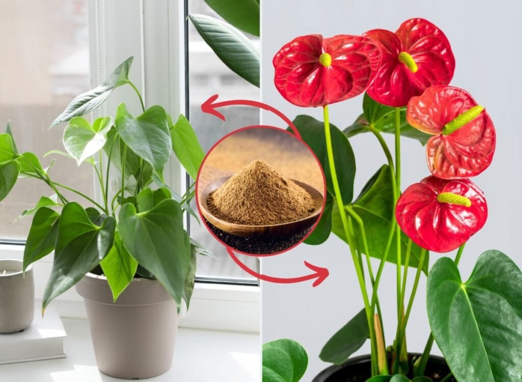 35800014de54bb00f849ab80e3d81829 49f8e25237cd6993477b7a930166fa18 1200x876 1