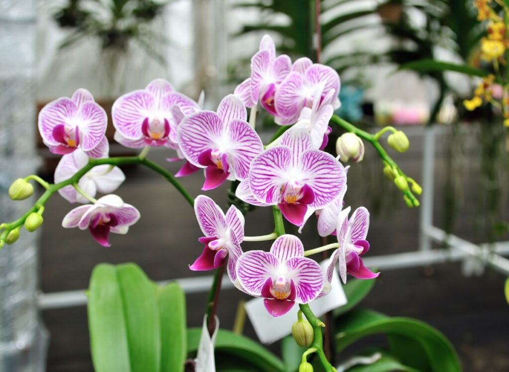 40ff0091b5f0e4c56bb783d9ddad1200 67a90fecfb124b8bc24d61f16eb943ba 1200x876 1