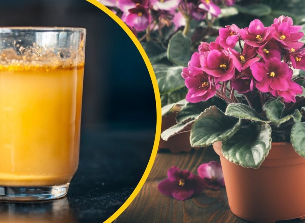 7590bb8c2c6b19643bbff9f8f3e72a1e b820ee575f16da3436abc0618e6340b8 1200x876 1