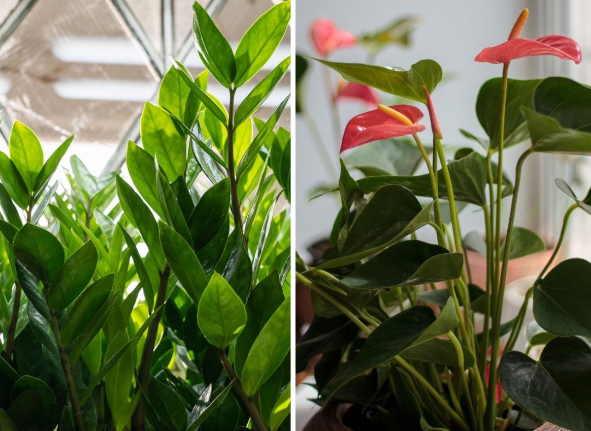 96770df2c22741cd92bc63c1465e4025 dd5dd87232533162c66d89aadec606af 1200x876 1