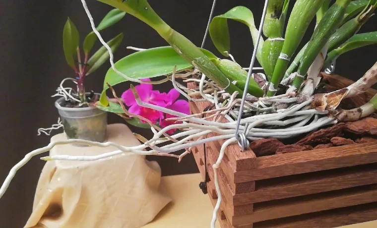 Design sans titre 12 12.png