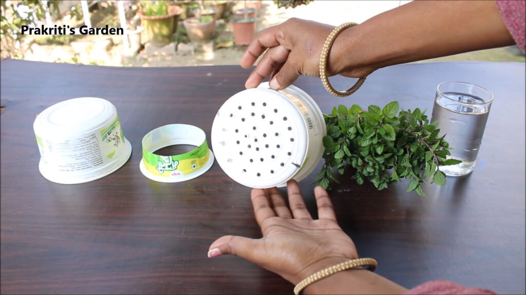 Grow Mint at home in water Pudina उगाने का सबसे आसान तरीका Mint in hydroponic system 1
