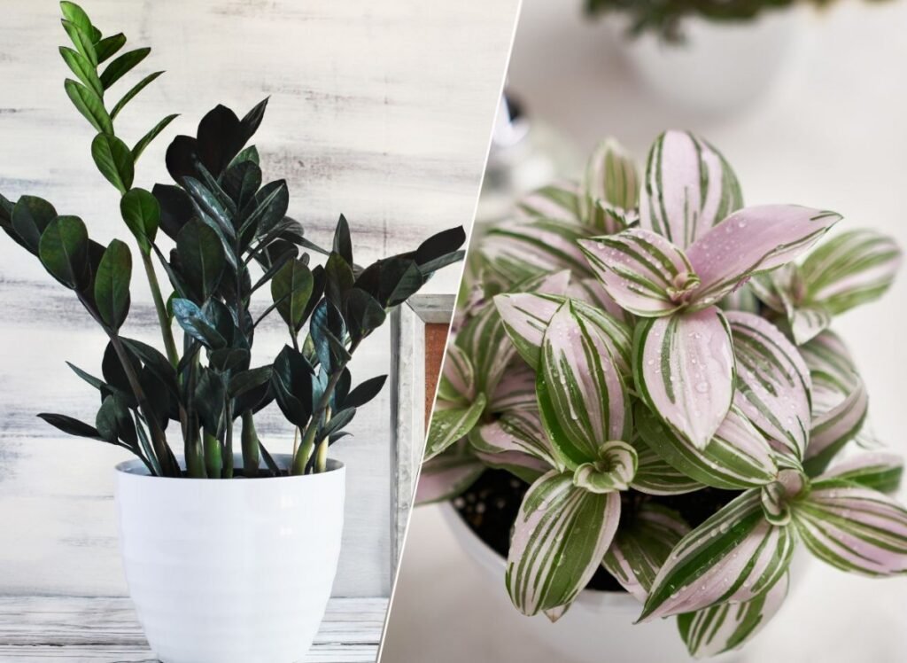 bf7aaf2f597df66b60bde2a8b199769c 1dc6ca761d9c8482bdfaffcb203312e5 1200x876 1