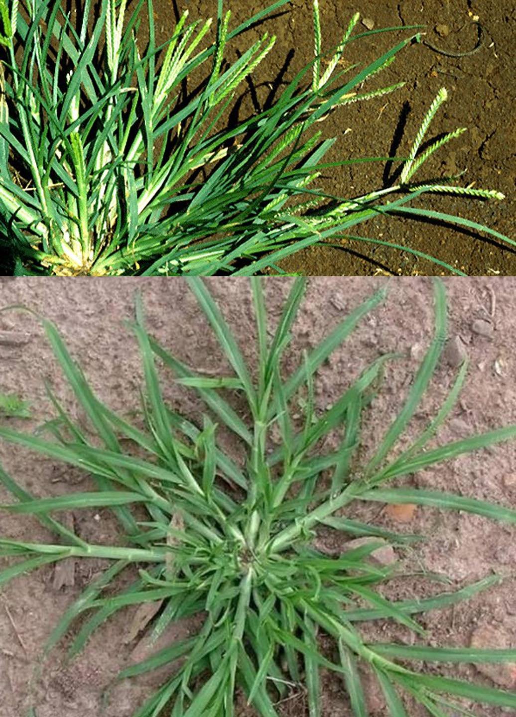 398155459 316530347794606 1268911170451242601 n