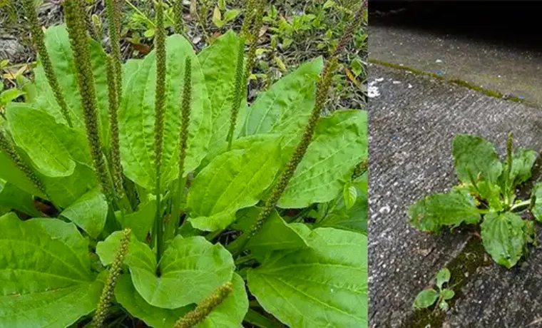 Design sans titre 4 9.png