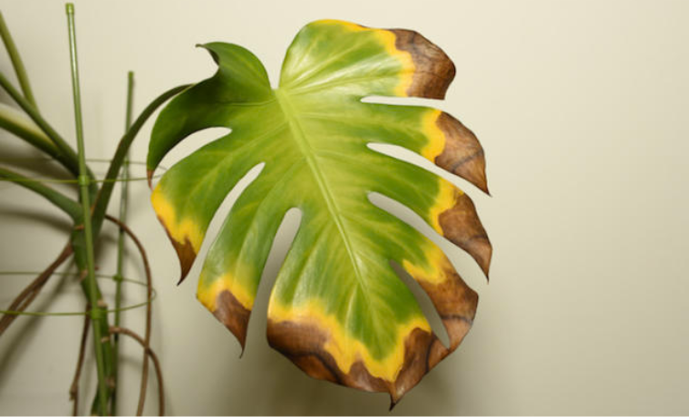 Design sans titre 47