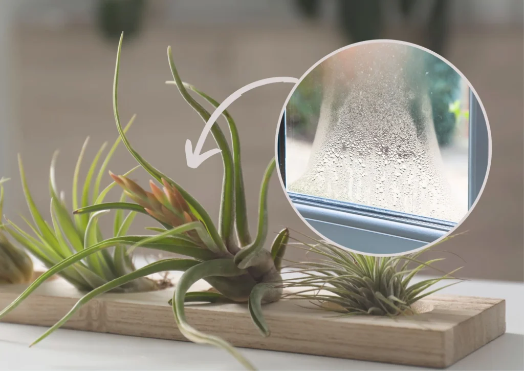 maxresdefault2 1.jpg