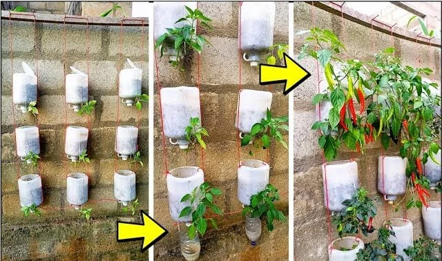 sddefault e1706191253974