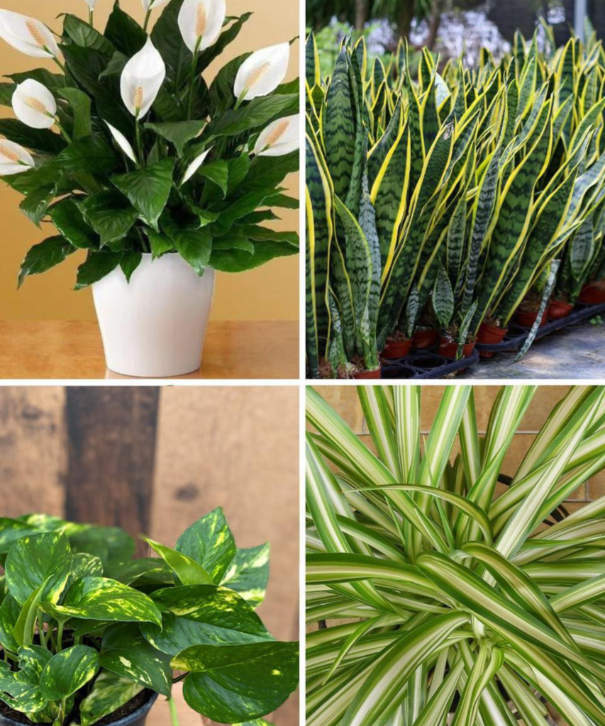 DIY Laundry Soap 2024 04 03T202409.021