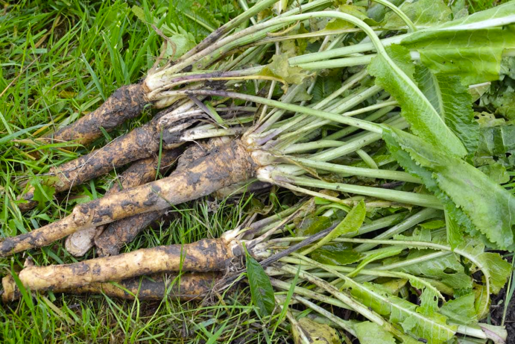 image 140
