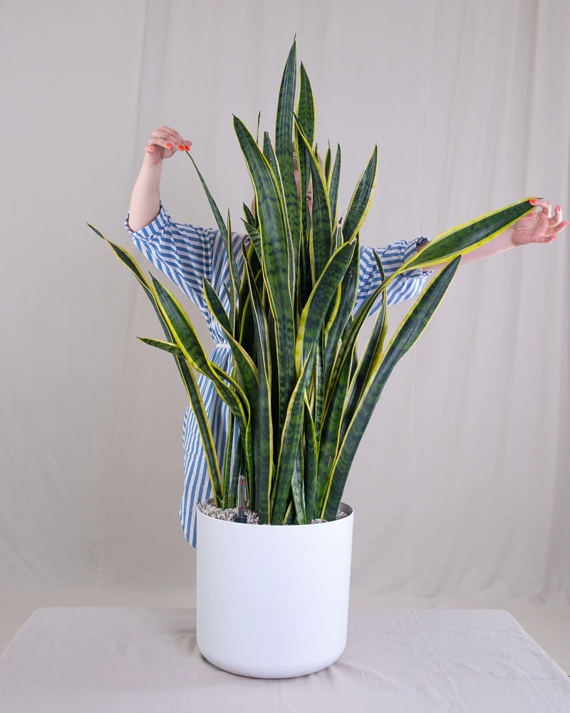 image 836